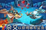 解读三倍金刚电游爆率背后的真实概率与理性游戏心态